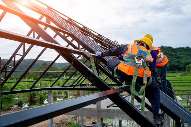 Best Roof Gutter Cleaning  in Kincaid, IL