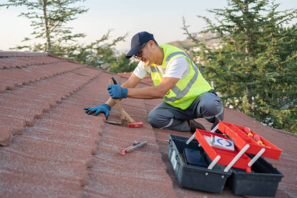 Best Roof Waterproofing Services  in Kincaid, IL